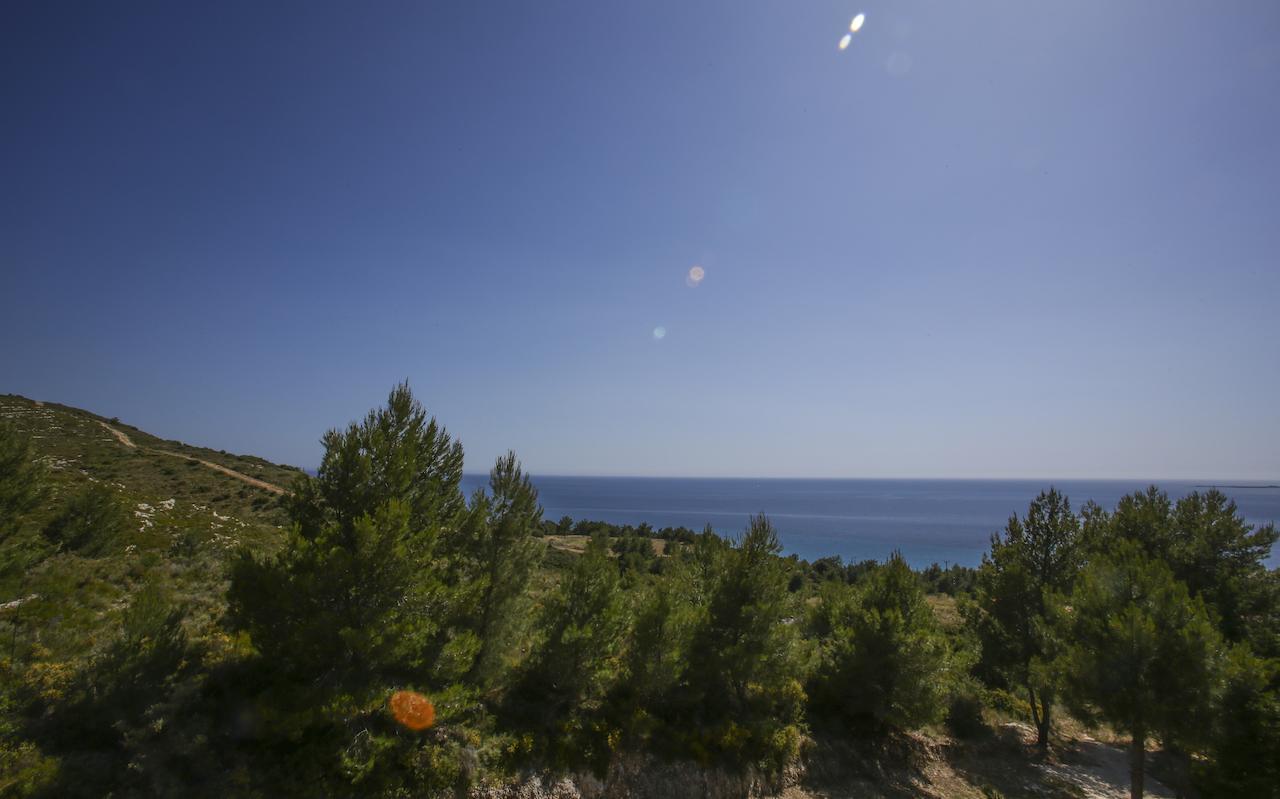 Sunset Paradise Lassi  Dış mekan fotoğraf