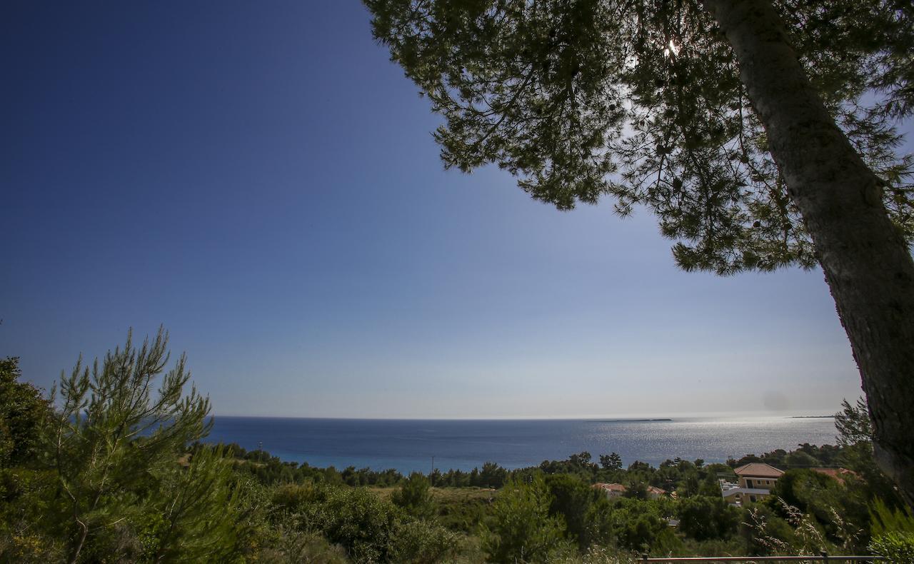 Sunset Paradise Lassi  Oda fotoğraf